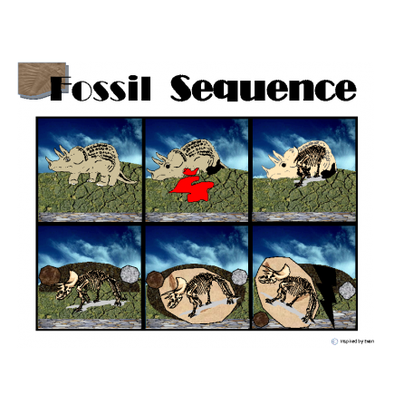 Fossil Formation Sequence